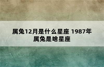 属兔12月是什么星座 1987年属兔是啥星座